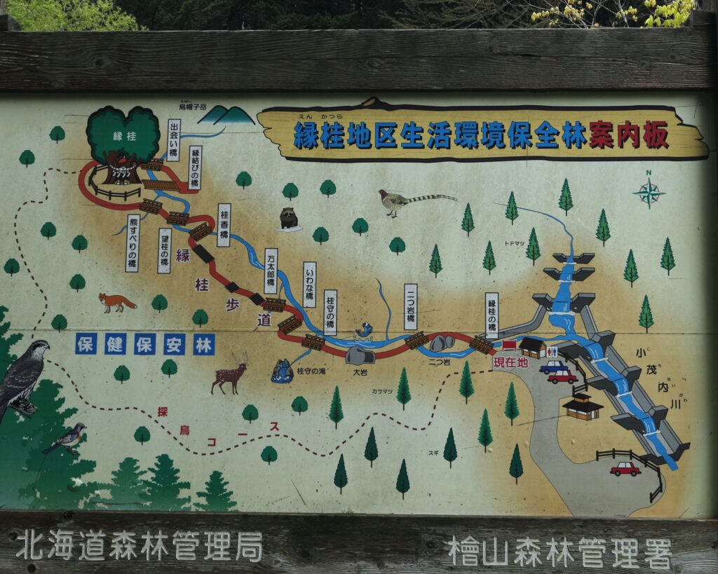 案内板